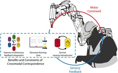 Exploring crossmodal correspondences for future research in human movement augmentation